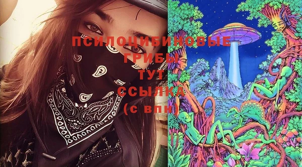 mix Богородск