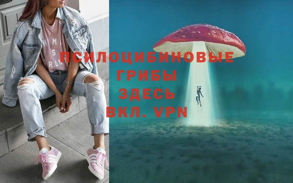метамфетамин Богданович