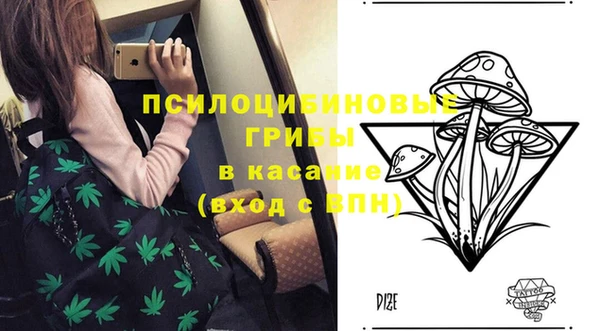 mix Богородск