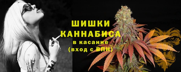 mix Богородск
